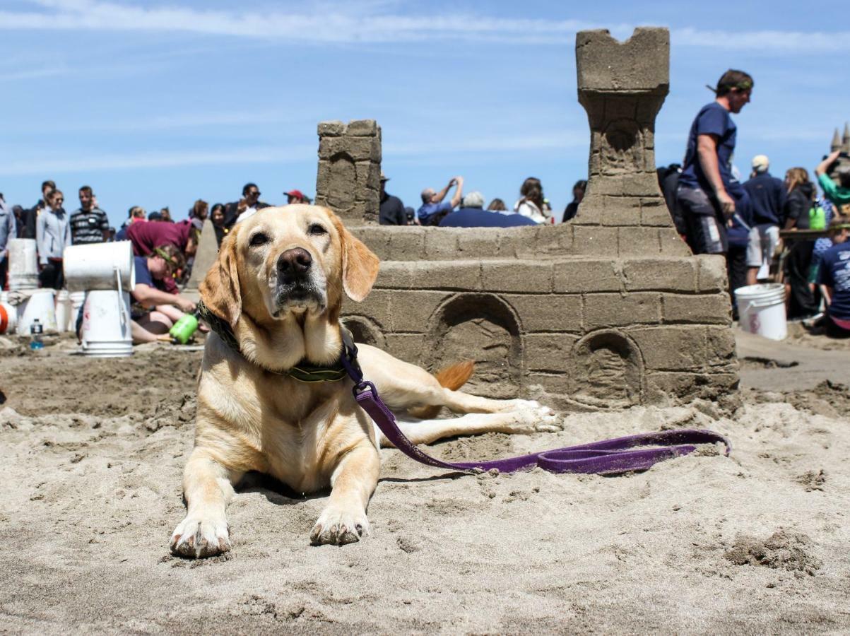 Beaches Inn | Herons Nest Loft Cannon Beach Esterno foto